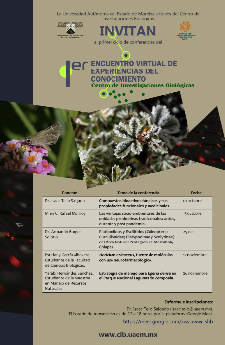 Primer Ciclo de Conferencias Encuentro Virtual 2020